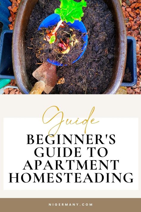 Learn how to become an urban homesteader and how to start your apartment homesteading journey, even if you live in an apartment. Get inspired with our beginner's guide! Apartment Homesteading, Start Homesteading, Homestead Inspiration, Homesteading For Beginners, Vegetable Scraps, Homesteading Skills, Rental Apartment, Holistic Care, Herbal Recipes