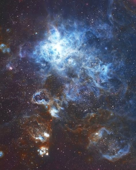 The Tarantula Nebula Tarantula Nebula, Weather Science, Orion Nebula, Star Cluster, Light Year, Outer Space, Dark Backgrounds, Astronomy, Cosmos