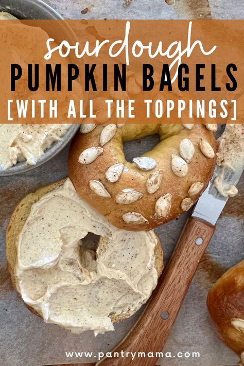 Deliciously chewy sourdough pumpkin bagels made with active sourdough starter or sourdough discard. Top them with sweet or savory toppings. Pumpkin Sourdough Bagels, Homestead Baking, The Pantry Mama, Pumpkin Spice Cream Cheese, Pantry Mama, Pumpkin Sourdough, Active Sourdough Starter, Sourdough Pumpkin, Pumpkin Bagels