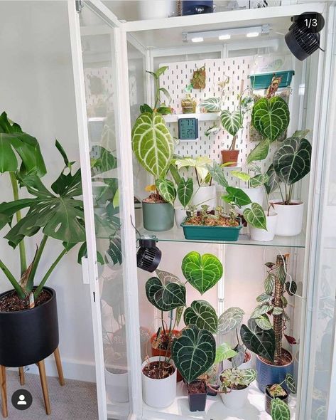 Milsbo Ikea, Milsbo Greenhouse, Ikea Indoor Garden, Plant Cabinet, Ikea Greenhouse Cabinet, Greenhouse Cabinet, Ikea Greenhouse, Indoor Garden Rooms, I Can Control