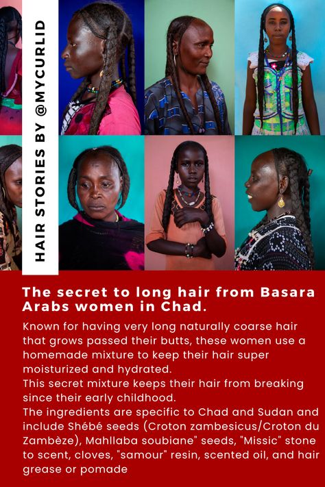 Known for having very long naturally coarse hair that grows passed their butts, these women use a homemade mixture to keep their hair super moisturized and hydrated. This secret mixture keeps their hair from breaking since their early childhood. The ingredients are specific to Chad and Sudan and include Shébé seeds (Croton zambesicus/Croton du Zambèze), Mahllaba soubiane” seeds, “Missic” stone to scent, cloves, “samour” resin, scented oil, and hair grease or pomade Chad Women Hair, Hair Grease, Thick Natural Hair, Grease Hairstyles, Hair Secrets, Scented Oil, Natural Afro Hairstyles, Afro Textured Hair, Coarse Hair