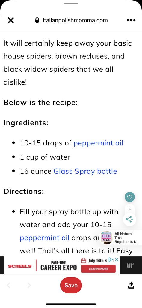 Rat Deterrent, House Spider, Brown Recluse, Tick Repellent, Black Widow Spider, Glass Spray Bottle, Spray Bottle, Peppermint