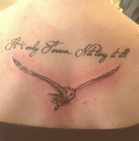 It's only forever, not long at all.... Love the lyrics and my Owl tattoo  For always Labyrinth and mr.Bowie Its Only Forever Tattoo, Its Only Forever Not Long At All Labyrinth, Labyrinth Owl Tattoo, Labyrinth Tattoo Movie, Labyrinth Tattoo Ideas, Labyrinth Tattoo, Ant Tattoo, Random Tattoos, Tattoos Inspo