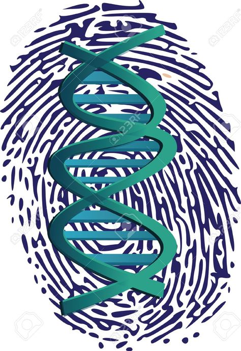 My own thumbprint + more artistic DNA strand: we are all unique and yet all the same. - OR DNA strand ON thumb. Dna Fingerprinting, We Are All Unique, Dna Strand, Digital Image, Fingerprint, Creative Art, Stock Vector, Fashion Beauty, Beauty