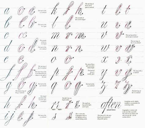 callligraphy Calligraphy Writing Styles, Calligraphy Letters Alphabet, Cursive Handwriting Practice, Alphabet Lettering, Lettering Guide, Calligraphy Tutorial, Hand Lettering Practice, Cursive Alphabet, Copperplate Calligraphy