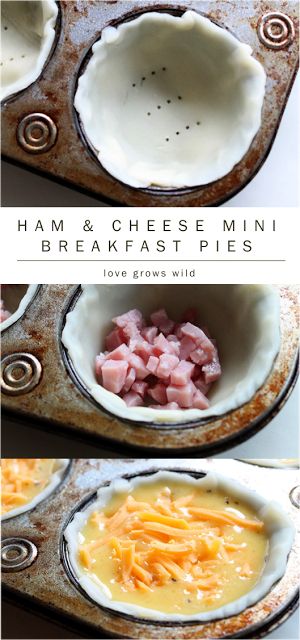 Ham & Cheese Mini Breakfast Pies - a delicious way to start the day! Bake ahead and freeze for busy mornings when you need breakfast on-the-go! | LoveGrowsWild.com Breakfast Pies, Breakfast Pie, Egg Benedict, Mini Breakfast, Ham Cheese, Think Food, Breakfast On The Go, Dessert Bar, Breakfast Brunch Recipes