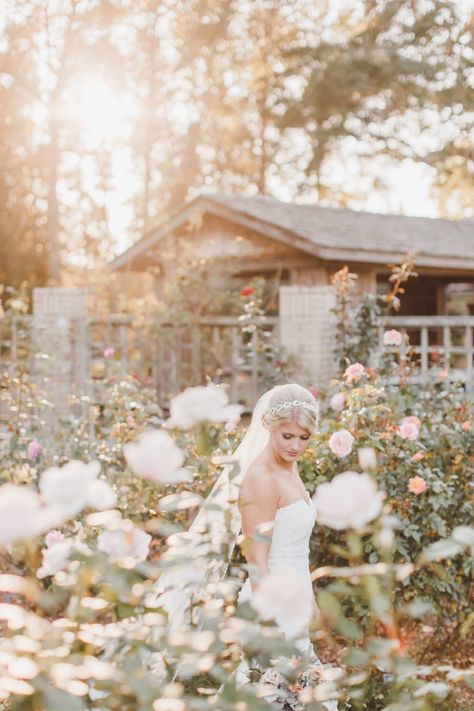 Garden Bridal Portraits, Bride Photoshoot, Bridal Photoshoot, Nc Wedding, Wilmington Nc, Bridal Shoot, Flower Farm, Raleigh Nc, Bridal Portraits