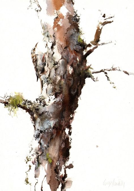 The Watercolour Log: Watercolour Paintings 58 Bird Sketches, Tree Drawings Pencil, Bird Images, Tree Paintings, Watercolor Paintings Nature, Watercolor Birds, Watercolor Subjects, Watercolor On Wood, Chinese Brush