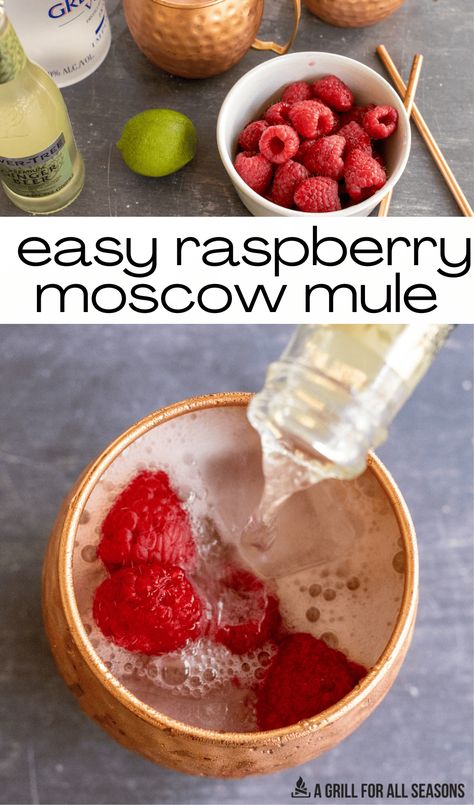 Kick up your normal Moscow mule recipe & make these Raspberry Mules instead. Vodka, ginger beer, & fresh raspberries are a perfect combo! How To Make A Mule Drink, Huckleberry Moscow Mule Recipe, Raspberry Mule Drink Recipes, Raspberry Moscow Mule Recipe, London Mule Recipe, Mule Recipe Vodka, Raspberry Mule, Popular Drink Recipes, Drinks Alcohol Recipes Easy