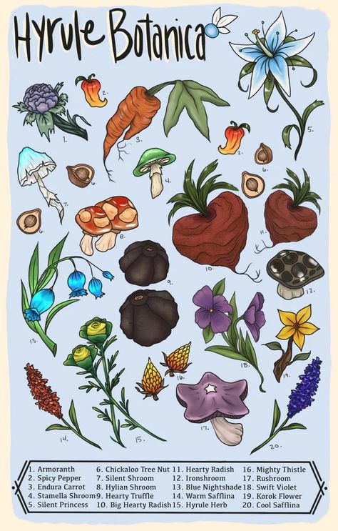 Zelda Botw Flower, Legend Of Zelda Plants, Breath Of The Wild Tattoo Ideas, Legend Of Zelda Flowers, Hyrule Botanical, Zelda Inspired Room, Zelda Room Ideas, Legend Of Zelda Room, Legend Of Zelda Drawings