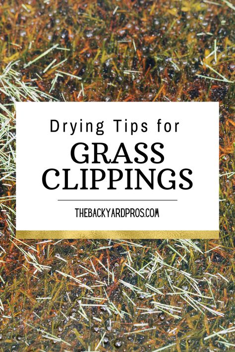 Dreaming of a luscious, vibrant lawn? Learn the age-old technique of drying grass clippings to supercharge your garden game. Our guide covers the why, when, and how of grass clipping drying. From crafting nutrient-rich compost to creating stunning natural decor, this method unlocks a world of possibilities. Whether you're a seasoned gardener or just starting, get ready to embrace sustainable practices and transform your clippings into gold. Dive into the world of grass clipping drying today! 🌿✨ Grass Hay, Garden Hacks, Garden Games, Natural Decor, Buy Plants, Sustainable Practices, Backyard Projects, Do It Right, Nature Decor