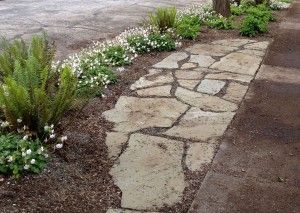 Parkway Landscaping, Low Maintenance Landscape Design, Strip Garden, Sidewalk Garden, Sidewalk Landscaping, Low Maintenance Landscape, Low Maintenance Landscaping Front Yard, Low Water Plants, Side Walk