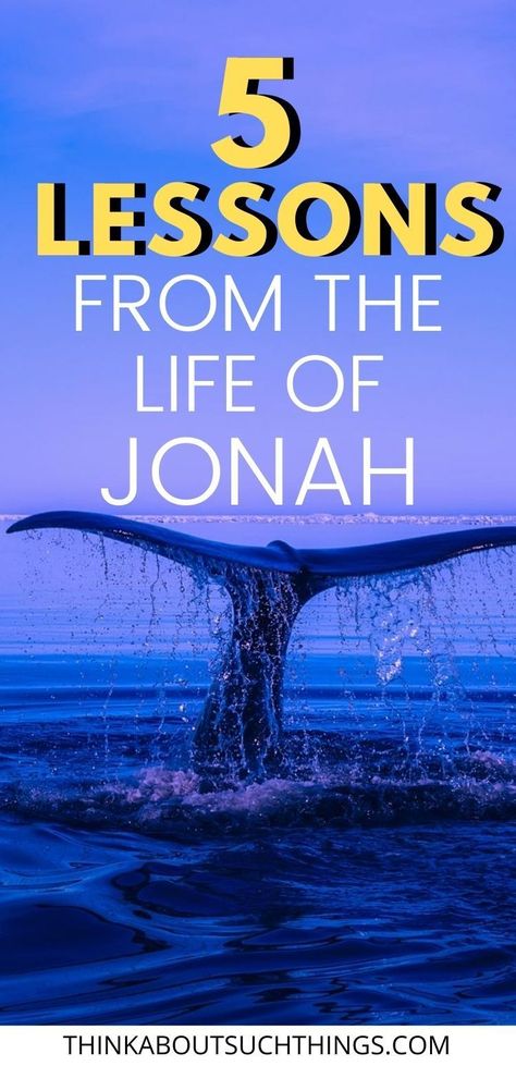 Story Of Jonah And The Whale, Jonah And The Whale Nursery, Jonah And The Whale Bible Verse, Jonah In The Belly Of The Whale, Jonah Bible Lesson For Kids, October Devotional, Jonah Bible Craft, Jonah And The Whale Decorations, Jonah And The Whale Games