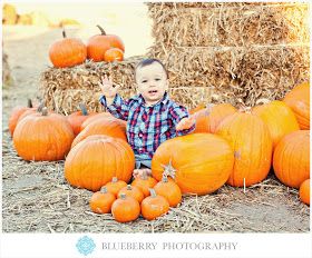 Pumpkin Patch Photography, Pumpkin Patch Photoshoot, Pumpkin Patch Pictures, Pumpkin Pictures, Fall Family Pictures, Chalkboard Sign, Fall Family Photos, Fall Photoshoot, Baby Portraits