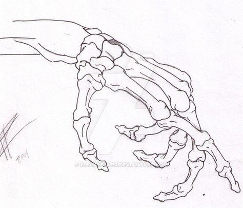 Skeleton Hands Drawing, Reaper Drawing, Hand Skeleton, Hands Drawing, Skeleton Drawings, Finger Art, Skeleton Hand Tattoo, Doodle Art Journals, Arte Van Gogh