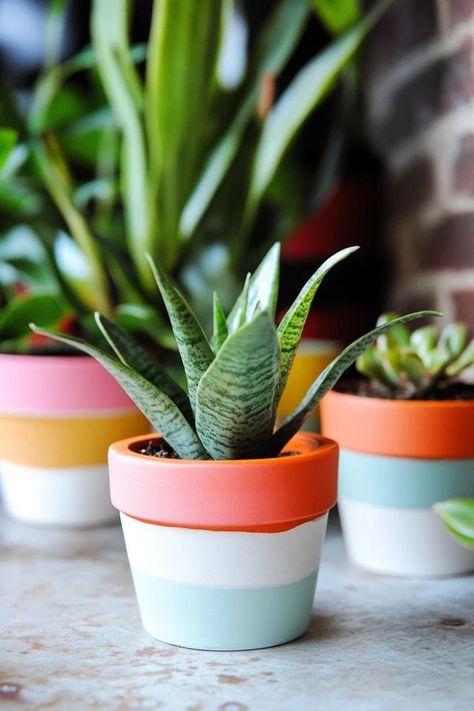 "Add a splash of color to your garden with DIY Painted Terra Cotta Pots! 🎨🌱 Perfect for personalizing your plant pots with your favorite designs. 🌟✨ #DIYProjects #PaintedPots #GardenDecor" Diy Painted Terra Cotta Pots, Terra Cotta Pots, Painted Terra Cotta Pots, Splash Of Color, Diy Garden Projects, Painted Pots, Plant Pots, Terracotta Pots, Clay Pots