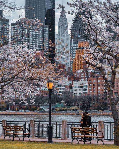 New York City Aesthetic, Roosevelt Island, Voyage New York, Nyc Life, New York Life, New York City Travel, Visit New York, Road Trip Usa, New York Travel