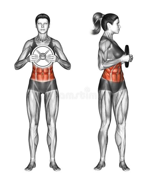 Fitball Exercising. Oblique Twist With Weight Plate. Female Stock Illustration - Illustration of flexors, steps: 66625328 Oblique Twist, Six Pack Abs Workout, Gym Abs, Muscle Abs, Best Ab Workout, Best Abs, Abs Workout Routines, Abs Workout For Women, Ab Workout At Home