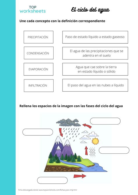 Une con una flecha cada fase del ciclo del agua con su definición y luego rellena la imagen. Science