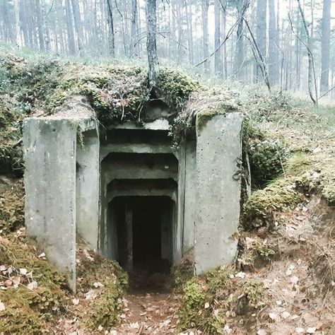 Found Old Soviet Bunkers In The Woods Abandoned Engineering, Soviet Bunker, Nuclear Fallout, Secret Bunker, Bunker Hill Monument, Doomsday Bunker, Military Bunkers, Old Concrete, Europe Street