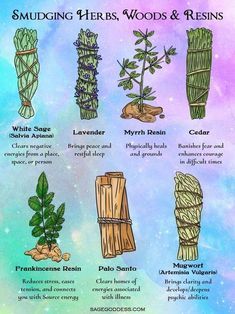 Herbs And Their Uses Witchcraft, Herbs And Their Uses, Smudging Herbs, Clearing Negative Energy, Wiccan Books, Herbs List, Chakra Heilung, Frankincense Resin, Green Witchcraft