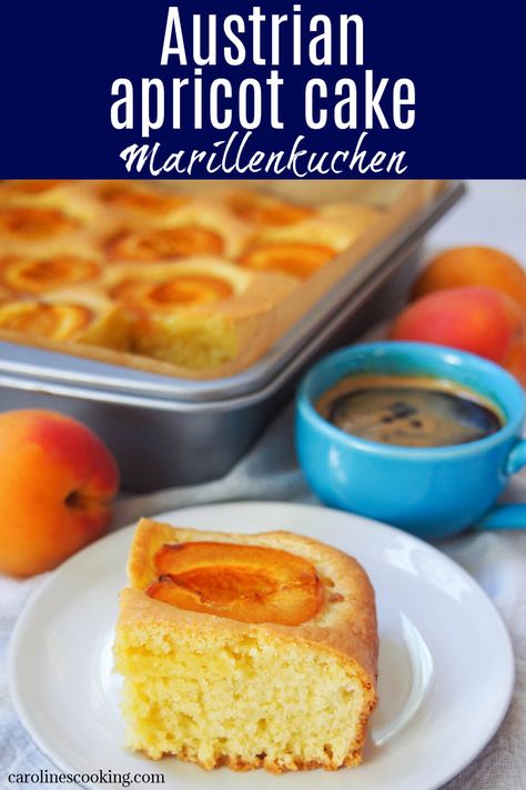 Apricot Bars Recipe, Apricot Cake, Chicory Recipe, Puff Pastry Desserts, Sweet Dumplings, Cake Base, Austrian Recipes, Make Ahead Desserts, Simple Cake