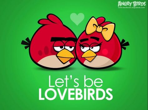 Angry Bird love... the best kind of love <3 Birds Kissing, Geek Valentine, Valentine Day Kiss, Photo Software, Blog Pictures, Facebook Timeline Covers, Timeline Covers, Facebook Timeline, Fb Covers