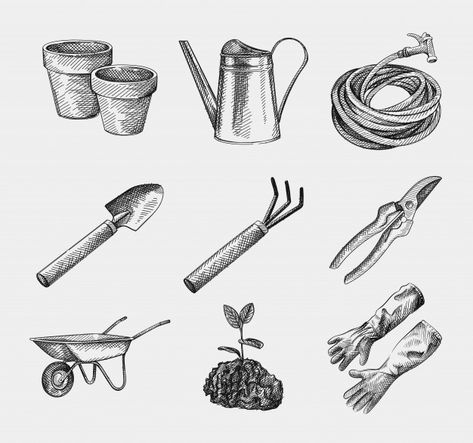 Hand-drawn sketch of gardening tools and... | Premium Vector #Freepik #vector #hand Gardening Tools Illustration, Shears Tattoo, Tools Illustration, Digging Fork, Illustration Tips, Spade Tattoo, Florist Tools, Tool Tattoo, Plant Doodle