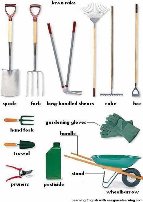 Learning the vocabulary for garden equipment. Each piece of garden equipment as a short description Picture Composition, English Vocab, Garden Equipment, English Tips, Grammar And Vocabulary, Home Vegetable Garden, Learn English Vocabulary, English Vocabulary Words Learning, English Language Learning