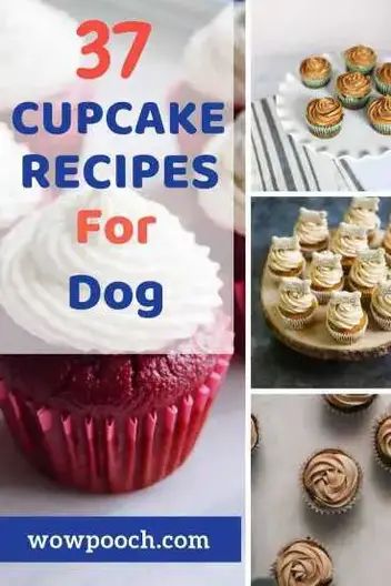 37 Cupcake Recipes For Dogs - WowPooch Cupcakes For Dogs Recipe, Pupcake Recipe, Recipes For Dogs, Dog Cupcake, Dog Cupcakes, Make Dog Food, Dog Biscuit Recipes, Dog Biscuits Homemade, Easy Dog Treats