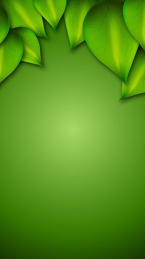 Beautiful Green Background, Green Background Wallpapers, Green Design Background, Herbal Background, Leave Background, Leaf Green Color, Background Images Green, Green Background Design, Green Background Images