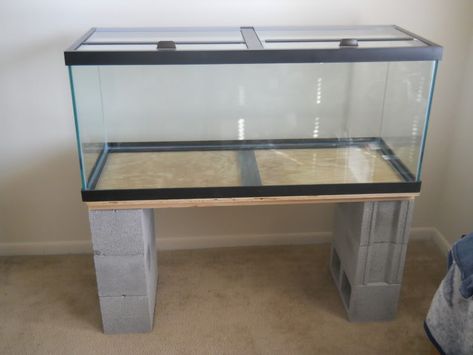 Tank Stand Ideas, Fish Tank Stand Ideas, Diy Fish Tank Stand, Salt Water Tank, Diy Aquarium Stand, Aquarium Stands, Fish Stand, Fish Tank Stand, Solar Lights Diy