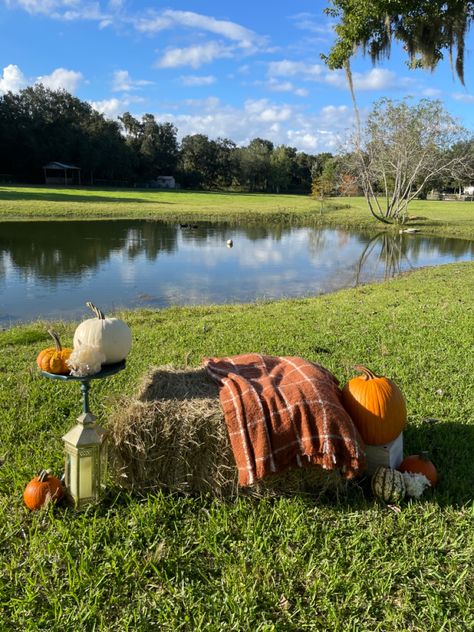 Diy Fall Photo Shoot, Fall Photo Props, Fall Minis, Fall Backdrops, Fall Photography, Fall Photo, Backdrop Ideas, New Smyrna Beach, Fall Mini