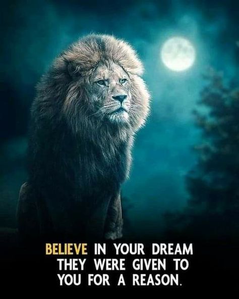 Believe In Your Dreams Chasing The Bag Quotes, Chase The Bag, Chasing Quotes, Alpha Female Quotes, Chasing Money, Quotes Hustle, Study Inspiration Quotes, Lion Of Judah Jesus, Dreams Quotes