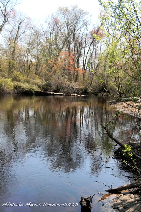 Maurice River, Vineland~Cumberland County, New Jersey Camping In England, Pine Barrens, Yosemite Camping, Yellowstone Camping, Camping In The Rain, Garden State, South Jersey, Camping Spots, Jersey Girl