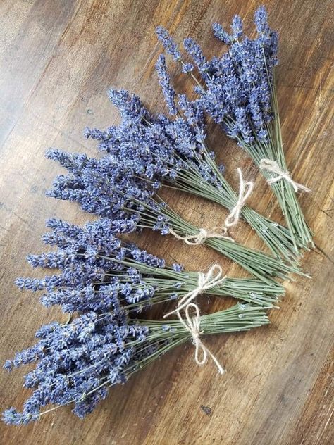 Lavendar Plant Aesthetic, Lavender Bunch, Lavender Grosso, Dried Lavender Bunch, Lavender Feild Pic, 2023 Vision, Dried Lavender, Lavender, Vision Board