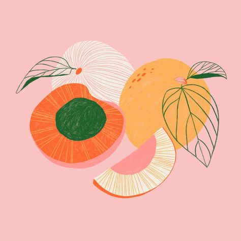 Marisol Ortega Marisol Ortega, Arte Doodle, Adoro Farm, Fruit Illustration, 수채화 그림, Arte Inspo, Art Et Illustration, Food Illustration, Art And Illustration