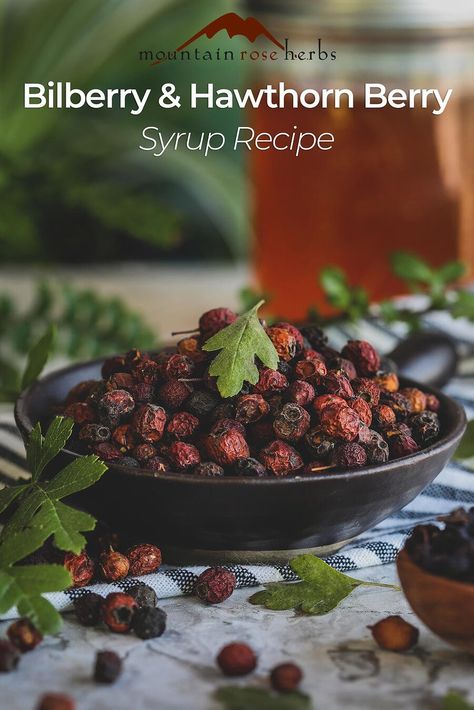 Bilberry and Hawthorn Berry Syrup Apple Cider Reduction, Herbal Salve Recipes, Berry Syrup, Butternut Recipes, Tonic Syrup, Sweet Sauces, Hawthorn Berry, Medicinal Tea, Berry Tea