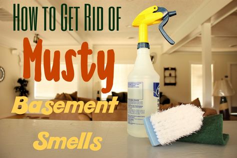 Basement Odor Eliminator, Musty Smell In House, Basement Cleaning, Old House Smells, Basement Odor, Mold Smell, Smell Remover, Basement Window, Diy Cat Stuff