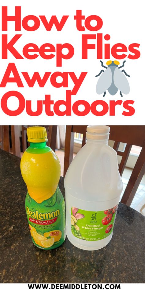 How to Keep Flies Away Outdoors - deemiddleton.com