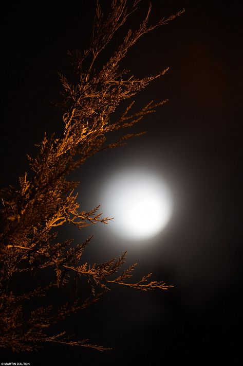 This month’s full moon was called the harvest moon because it is the closest full moon to the autumn equinox, which takes place on September 22 in the Northern Hemisphere Persian Wedding, Moon Eclipse, Forest Road, Good Night Moon, Moon Rise, Super Moon, Beautiful Moon, Harvest Moon, The Harvest