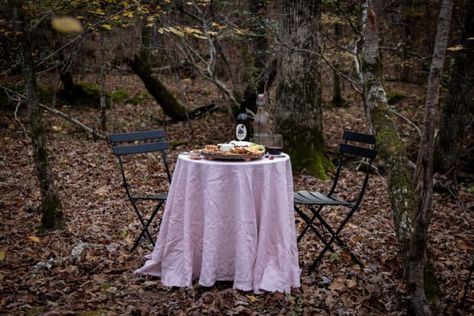 Forest Cheese Board Dinner Spooky Picnic, Big Halloween Party, Picnic In The Woods, Dinner Experience, Wheat Crackers, Manchego Cheese, Boursin Cheese, Gouda Cheese, Apple Cranberry