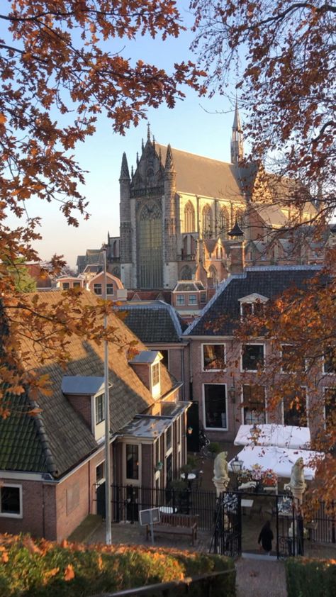 Study Abroad Netherlands, The Hague Netherlands Aesthetic, The Hague Aesthetic, Netherlands University, Nederland Aesthetic, Utrecht Aesthetic, Dutch Aesthetic, Netherlands Aesthetic, Leiden Netherlands