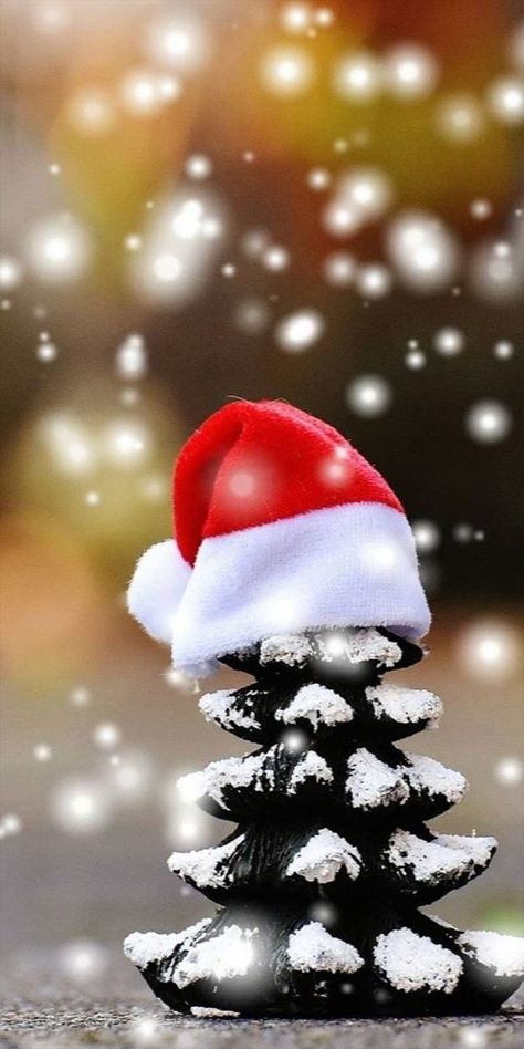 Christmas Images Wallpaper, Joulun Aika, Merry Christmas Wallpaper, Merry Christmas Pictures, Xmas Wallpaper, Christmas Phone Wallpaper, Cute Christmas Wallpaper, Merry Christmas Images, Merry Christmas Wishes