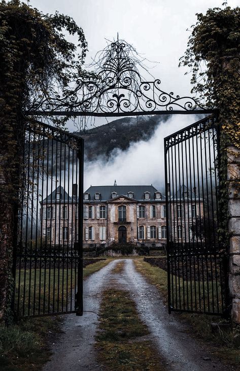 Truly Devious Characters, Manor Aesthetic, Vampire Mansion, Dark Mansion, Gothic Manor, Chateau De Gudanes, Magnolia Stellata, Mansion Aesthetic, Castle Exterior