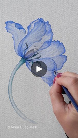 Poppy Watercolor, Watercolor Guide, Loose Watercolor Flowers, Watercolor Hummingbird, Paintings Tutorials, Flowers Paintings, Watercolor Tutorial, Transparent Flowers, Watercolor Paintings For Beginners