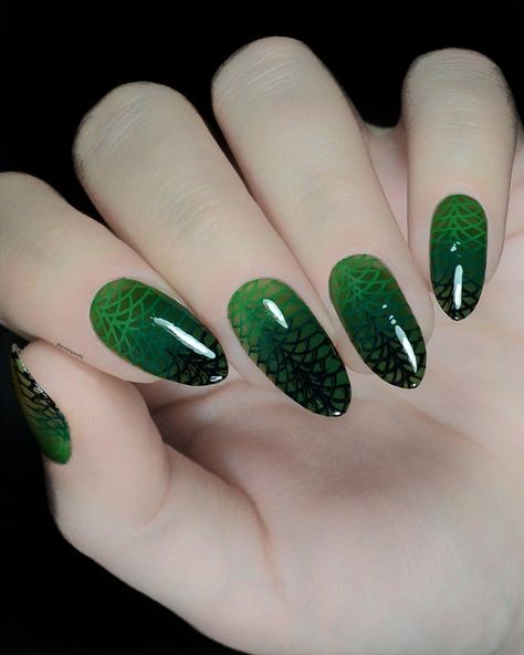 1,024 Likes, 36 Comments - Nail art inspirations ✨ (@polishpixie92) on Instagram: “Green gradient and some stamping 😁 @kadsnailart Grape Leaf  @uberchicbeauty Art Deco Elegance, Pure…” Nail Art Hijau, Sunset Nails, Mirror Nails, Green Nail Polish, Green Gradient, Green Nail, Chrome Powder, Grape Leaf, Flat Brush