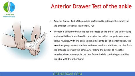 Anterior Drawer Test Of The Ankle • Easy Explained - OrthoFixar 2022 Ankle Anatomy, Physiotherapy Student, Stretch Therapy, Soleus Muscle, Ankle Ligaments, Gastrocnemius Muscle, Physical Therapy School, Physical Therapy Assistant, Diagnostic Imaging