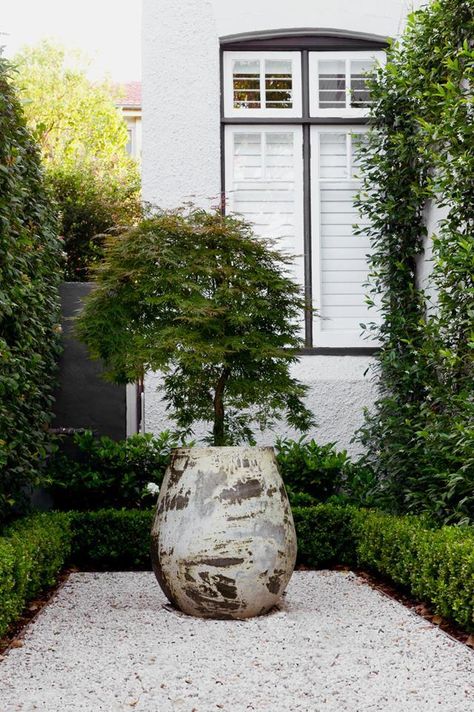 Liminal House, Gravel Yard, Living Fences, Heritage Garden, Sydney Gardens, Australian Garden Design, Formal Garden Design, White Gravel, Contemporary Garden Design