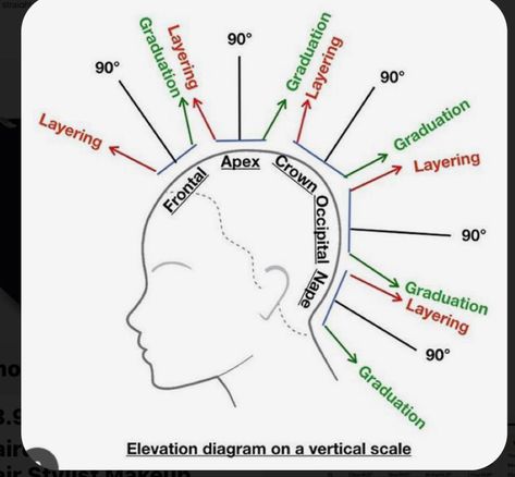 Cosmetology State Board, Beauty School Cosmetology, Hair Cut Guide, Hair Science, Hair Academy, Cosmetology Student, Hair Color Formulas, Hair School, Diy Haircut